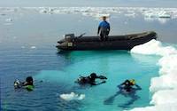 Divers surfacing near iceberg in Antarctica