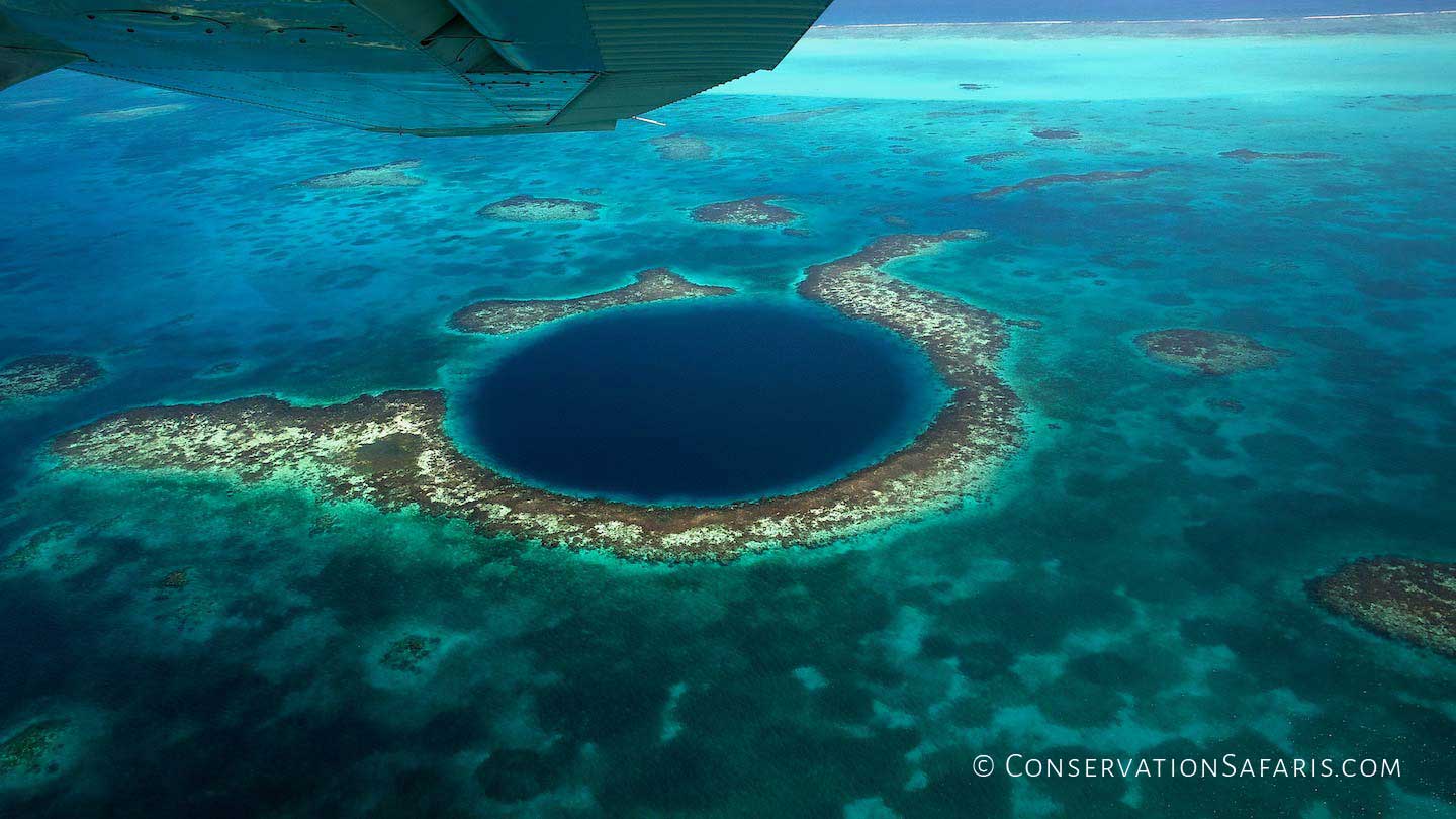 Belize Diving in the Blue Hole