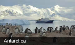 Antarctic Wildlife Cruise