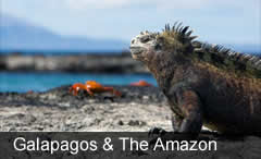 Ecuador Wildlife Safari - Galapagos cruise & the Amazon